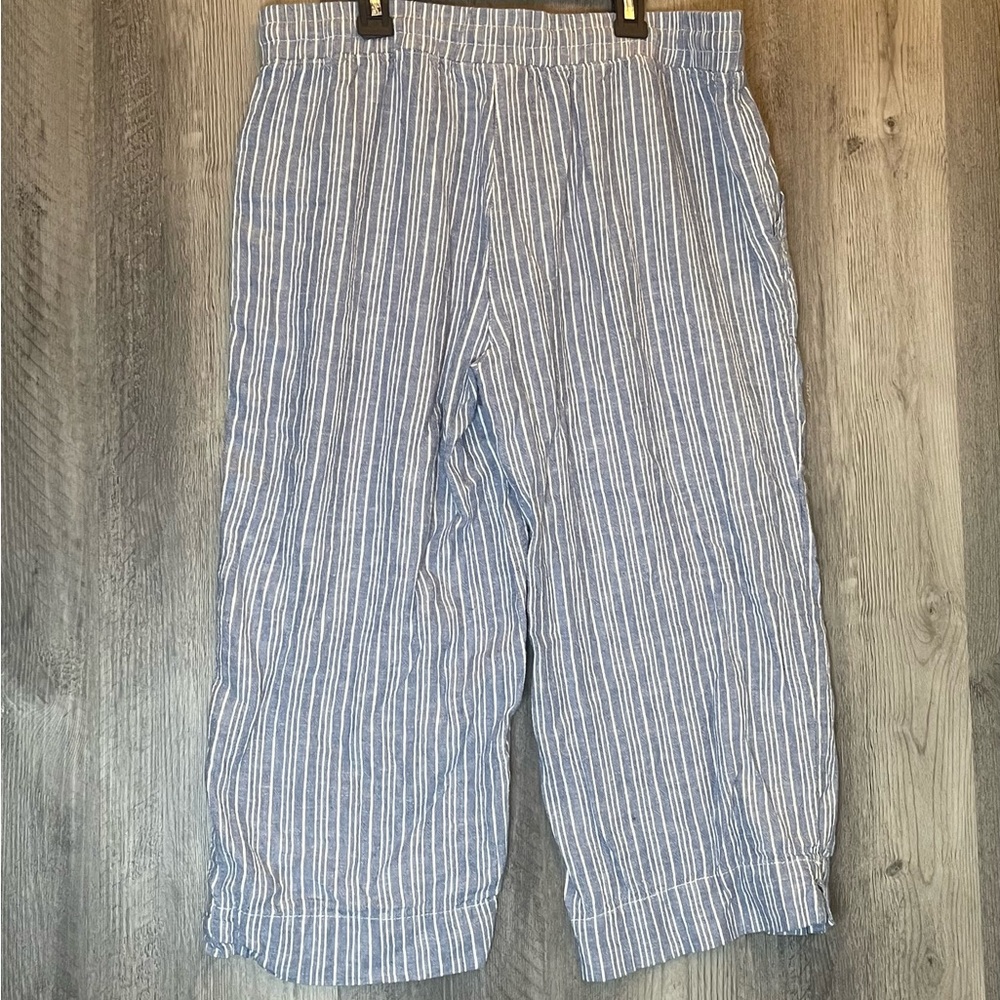Striped Blue Capris - Picture 5 of 9